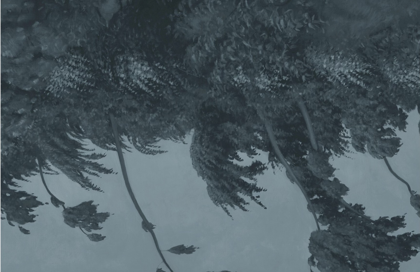 What if the measure of success shifted from growth to regeneration?